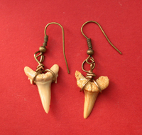 Fossil Shark Teeth Earrings